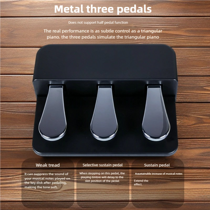 Betsy piano pedal electric piano sustain universal auxiliary pedal